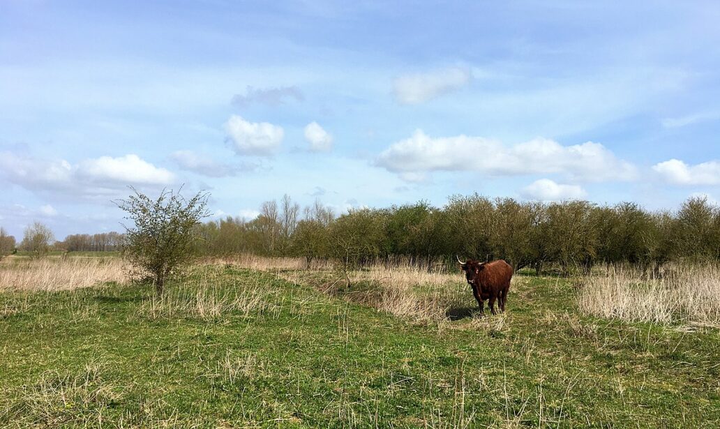 Klompenwaard_(Gelderse_Poort)